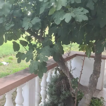 Appartement Rubbi - With Terrace *