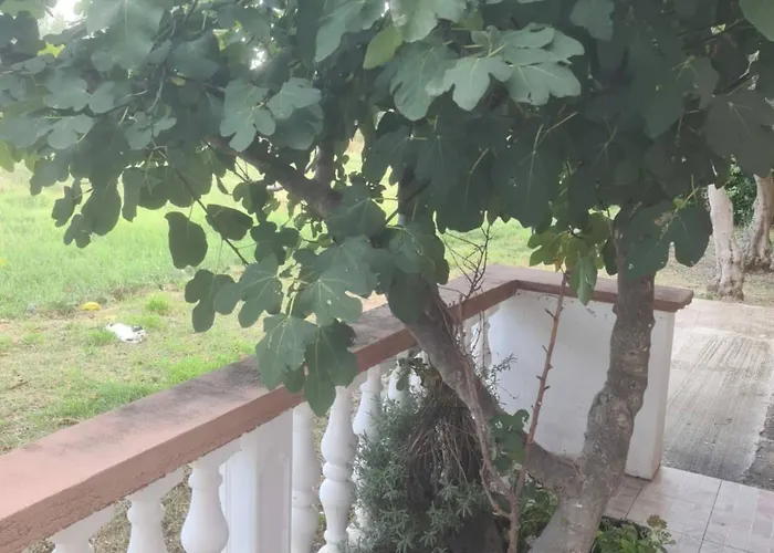 Apartmán Rubbi - With Terrace *